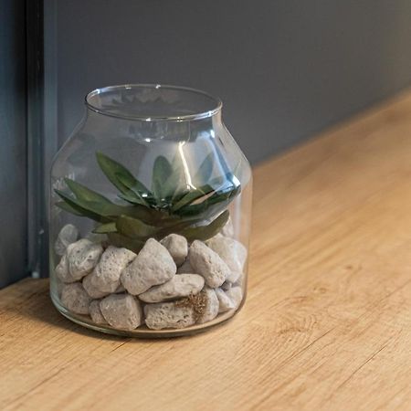 באקאו Apartament Delux מראה חיצוני תמונה